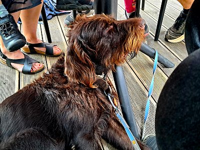 Zbyde něco i na mě?