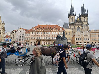 Životem pulzující.....*