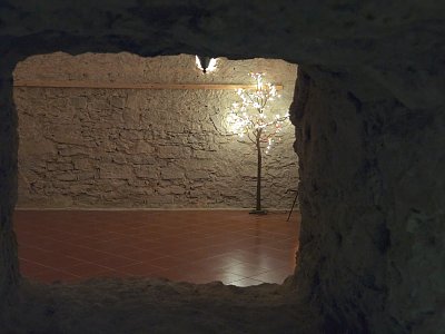20250922-114520.jpg