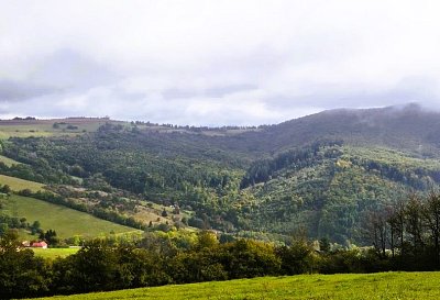 20251007-114816.jpg