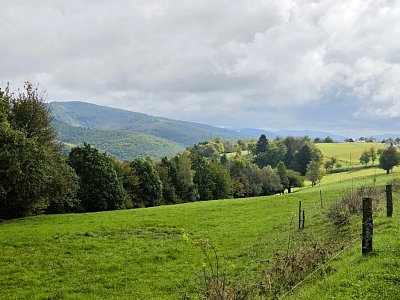 20251007-120130.jpg