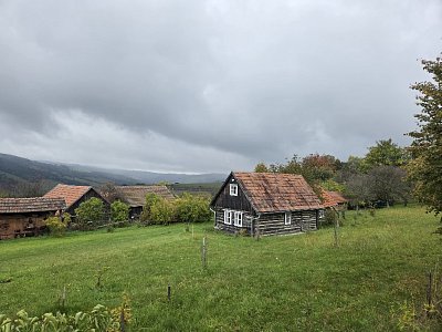 20251007-122525.jpg