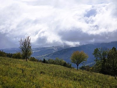 20251007-130239.jpg