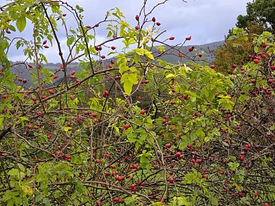 20251007-140635.jpg