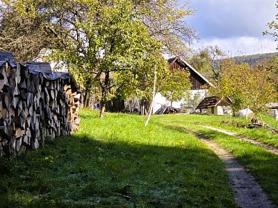 20251008-120238.jpg