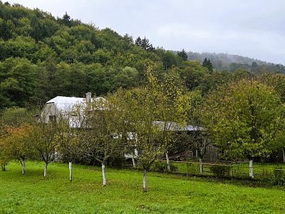 20251009-110037.jpg