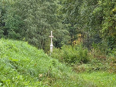 20251009-113731.jpg