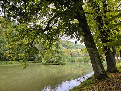 20251009-115757.jpg
