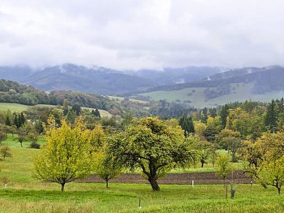 20251009-131306.jpg