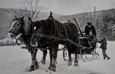 Nejlepší období mého života - Šumava
