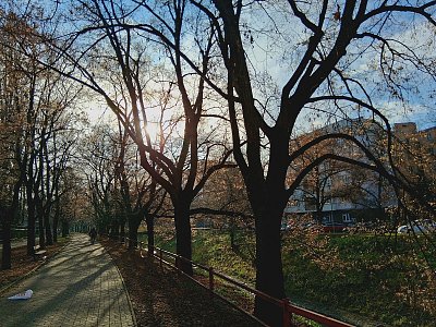 Když se slunce snaží *