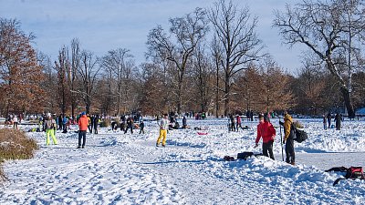 Rybníky ve Stromovce ožily