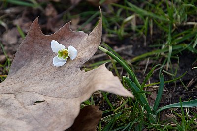 Kam jsi dala hlavu??!  *