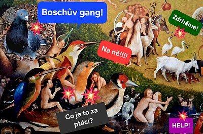 Hrátky s ptáky * (NESOUTĚŽNÍ)