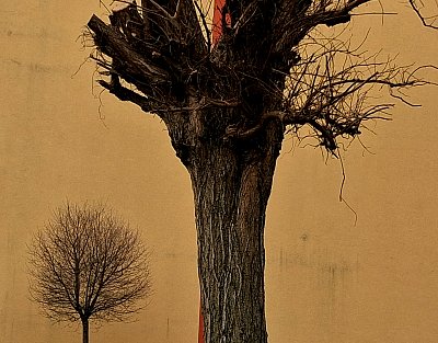 Rudá čára v zákrytu