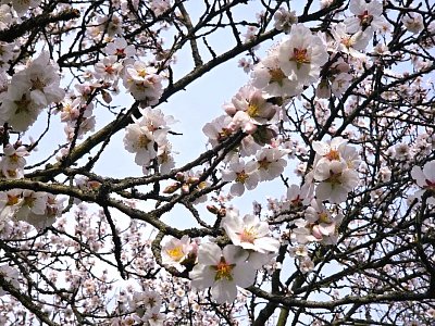 Jen pro ten dnešní den...