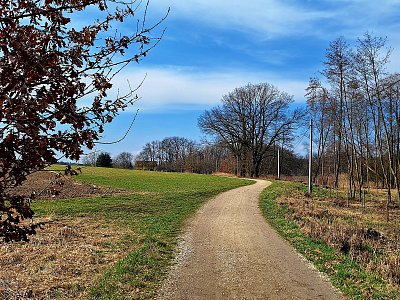 K rybníku vede cesta