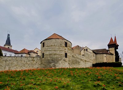 Rozkvetlé hradby v Lounech