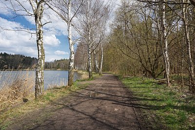 Břízy podél břehu *