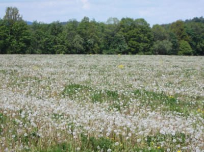 Nová generace připravená k odletu