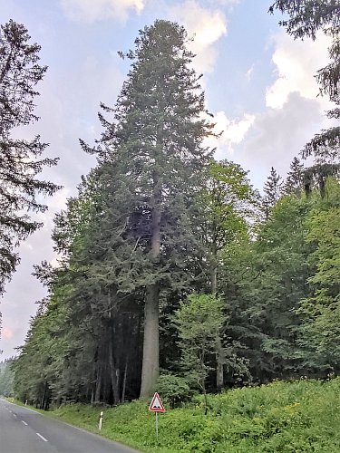 Foto ze startu