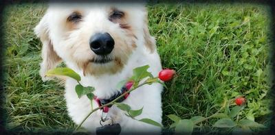 Panička mě poslala k šípku...