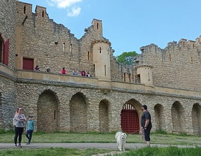 22-254.jpg