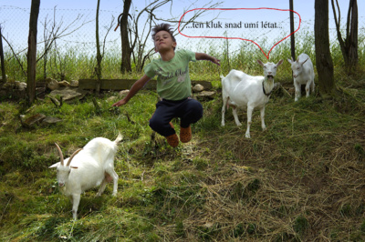 Koláž pro dnešní den ...