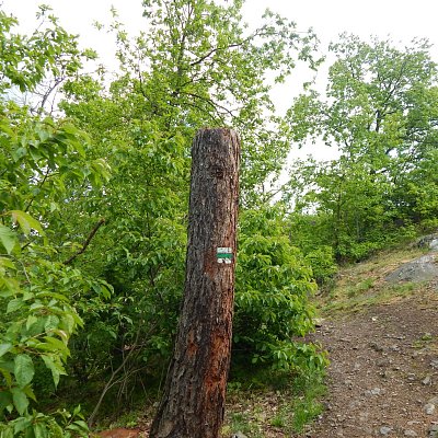 Turisté jsou vedeni po značkách