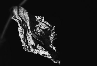 black and white