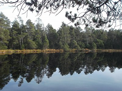 Foto z cíle