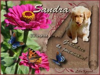 23_8_Sandra