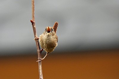 Miláááčku ♥♥♥