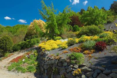 24-Arboretum Makču Pikču