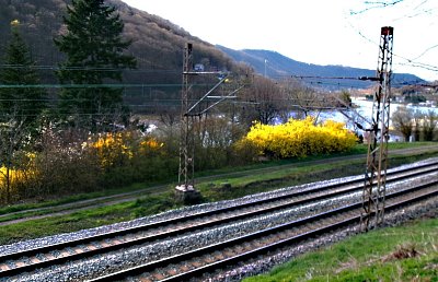245-1088.jpg