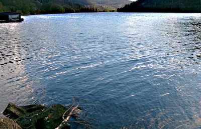 245-1110.jpg