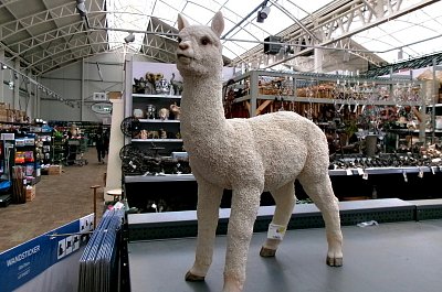 245-2082.jpg