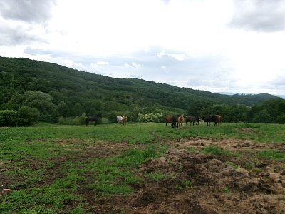 245-2264.jpg