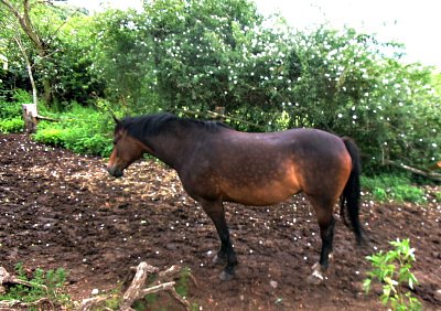 245-2274.jpg