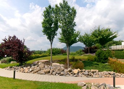 245-2491.jpg