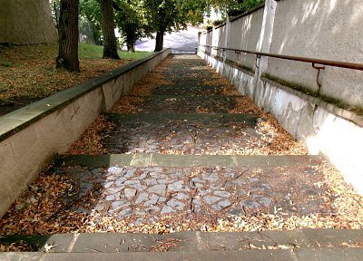 245-3597.jpg
