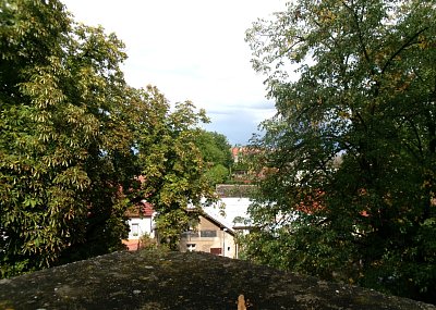 245-3598.jpg