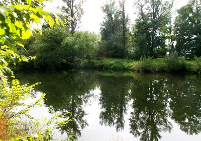 245-3621.jpg