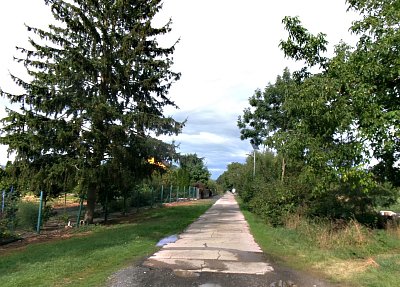245-3630.jpg