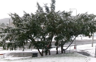 Poslední letošní procházka