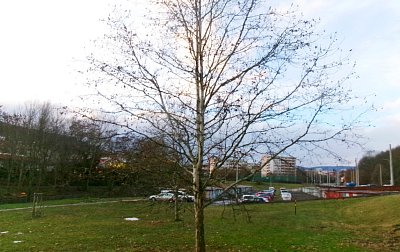 I takový je leden *