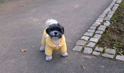 To jsem fešák, viď? *