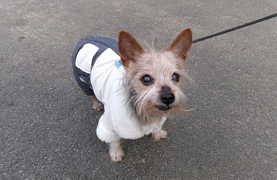 Ahoj , kámo, jsem tady taky *