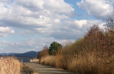 Těším se na zelenou Miladu *