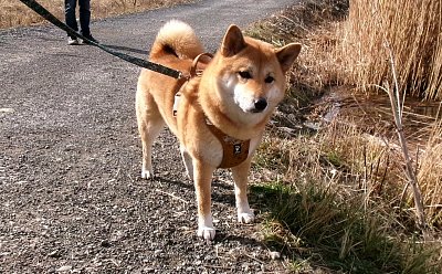 Ahoj, tady se mi líbí *